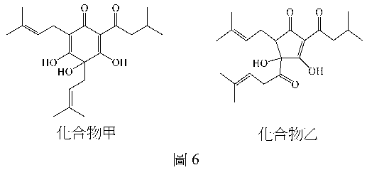 圖6:化合物甲與乙的結構
