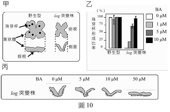 圖10